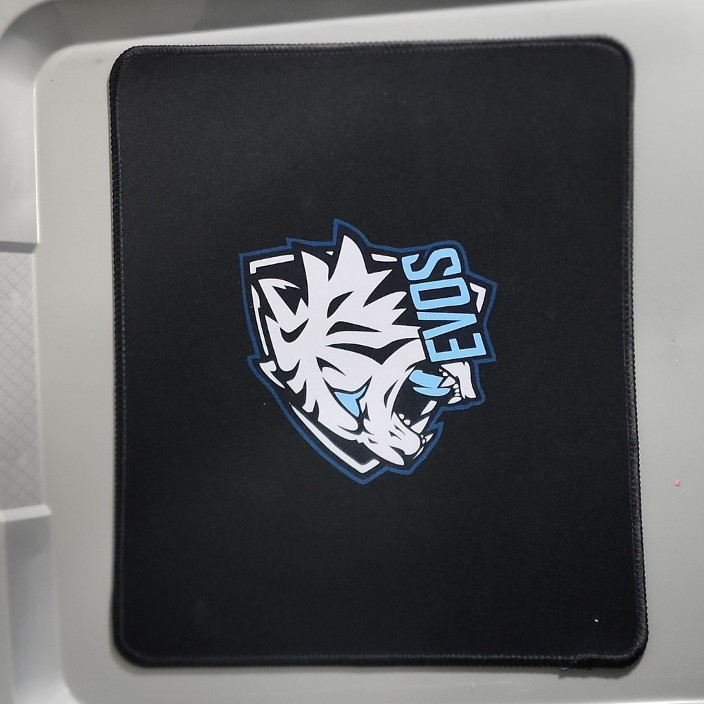 Computer mouse pad, EVOS Esports